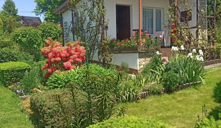 Działka rod Bielsko-Biała, ul. Kolonia