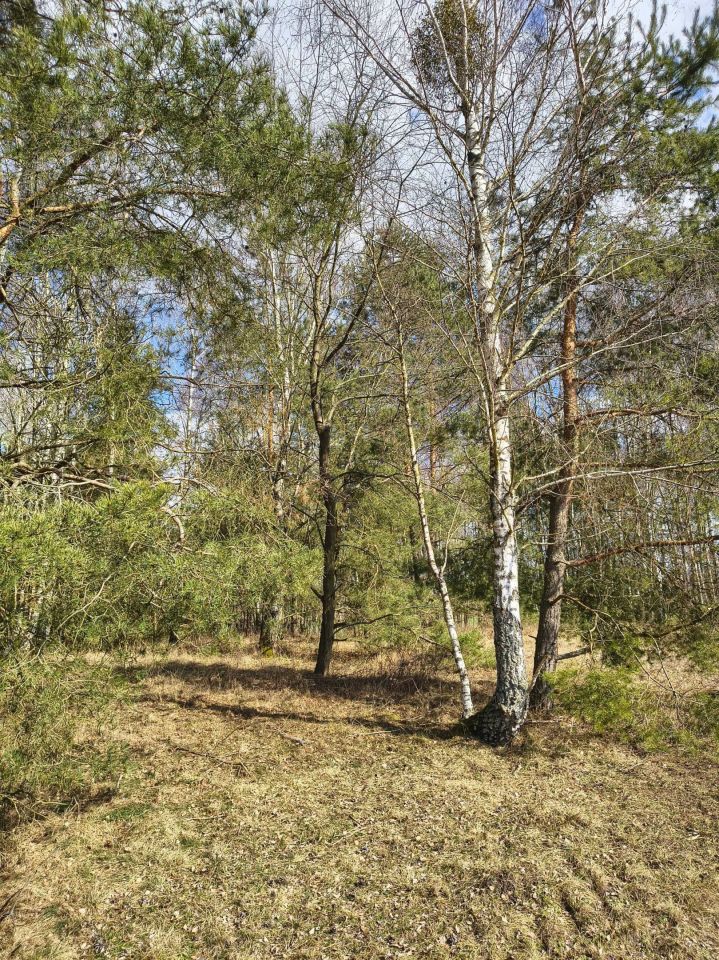 Działka rolna Derkacze. Zdjęcie 5