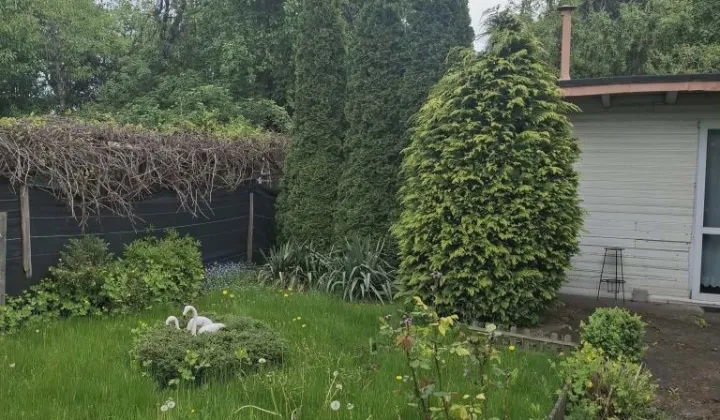 Działka rod Katowice Bogucice, ul. Raciborska