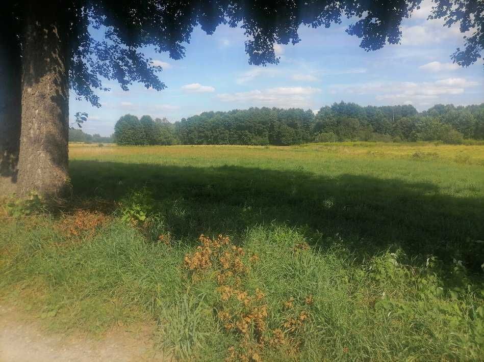 Działka rolno-budowlana Młodocin Większy. Zdjęcie 6