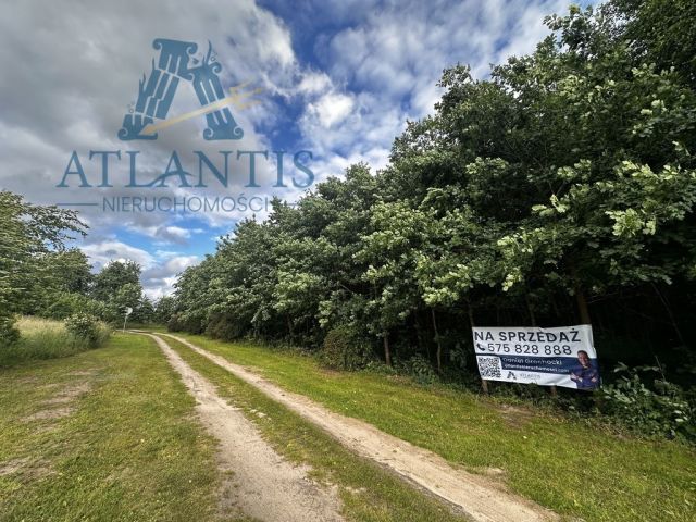 Działka siedliskowa Jania Góra. Zdjęcie 10