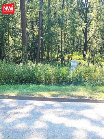 Działka rolno-budowlana Halinów. Zdjęcie 3