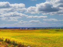 Działka budowlana Olsztyn. Zdjęcie 3