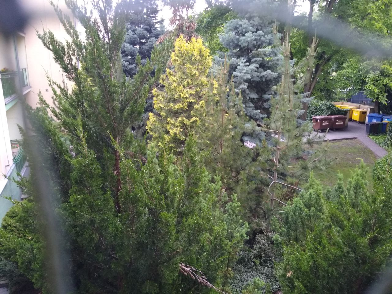 Mieszkanie 4-pokojowe Bydgoszcz Osiedle Leśne, ul. Gdańska. Zdjęcie 13