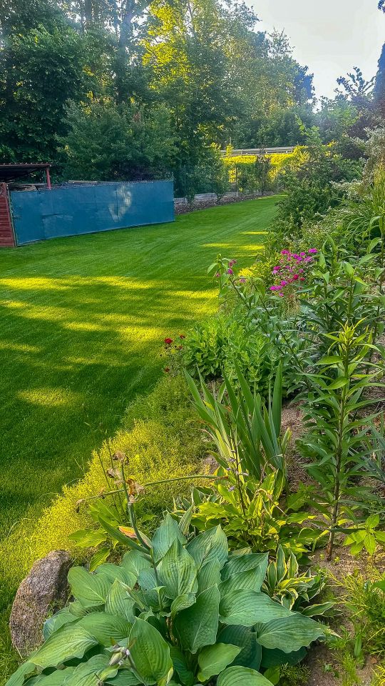 dom wolnostojący, 6 pokoi Nowe Biskupice. Zdjęcie 28