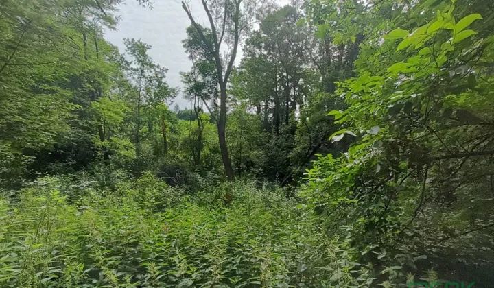 Działka inna Pszów, ul. Ignacego Łukasiewicza