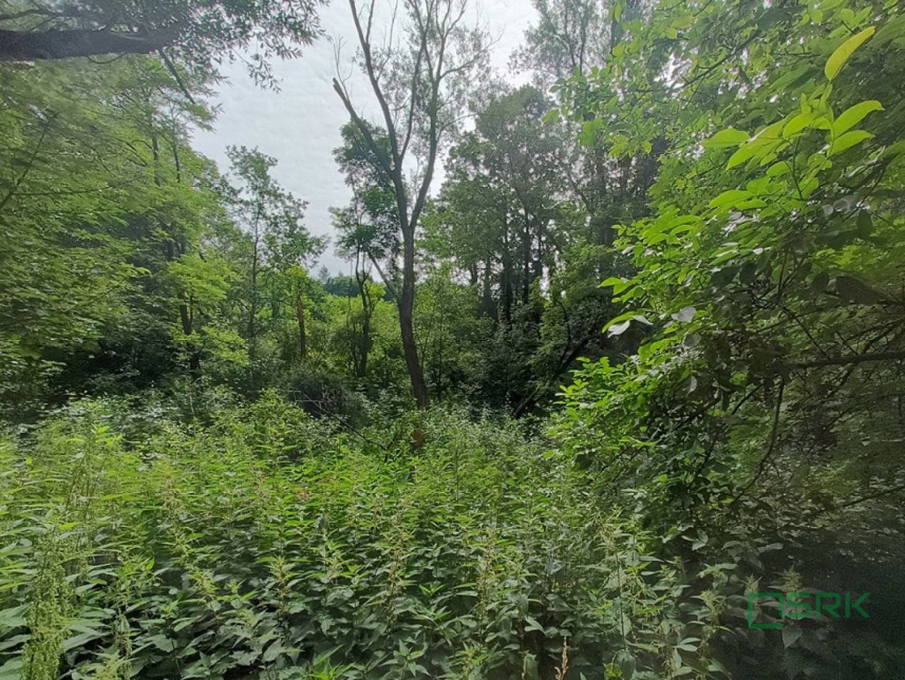 Działka Pszów, ul. Ignacego Łukasiewicza. Zdjęcie 2