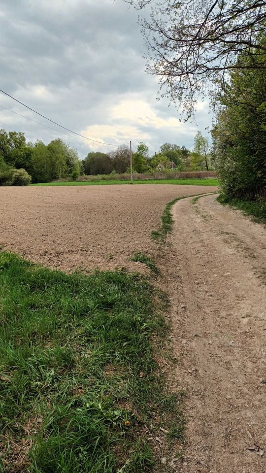 Działka rolna Kazimierz Dolny. Zdjęcie 6