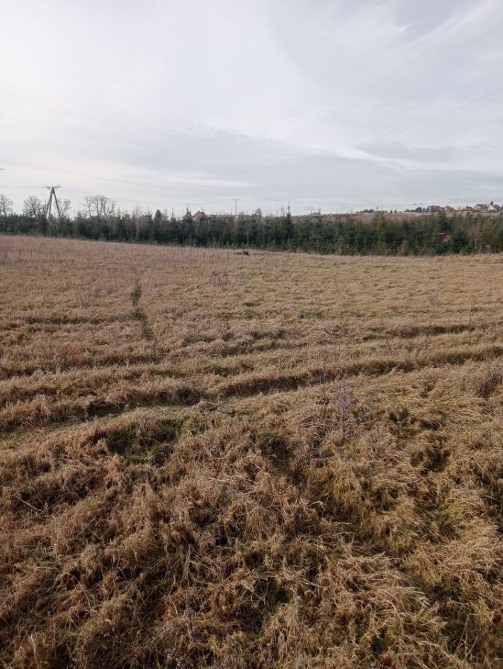 Działka budowlana Kajkowo. Zdjęcie 3