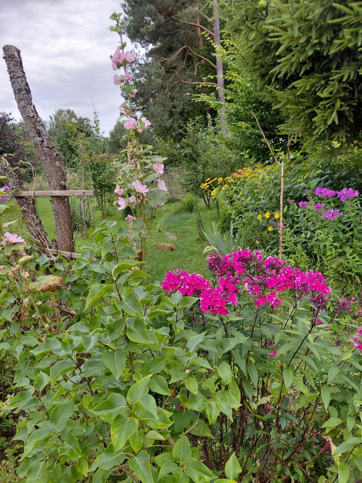 dom wolnostojący, 4 pokoje Sierpowo. Zdjęcie 17