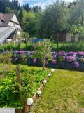 dom wolnostojący, 4 pokoje Muszyna, ul. Grunwaldzka. Zdjęcie 1