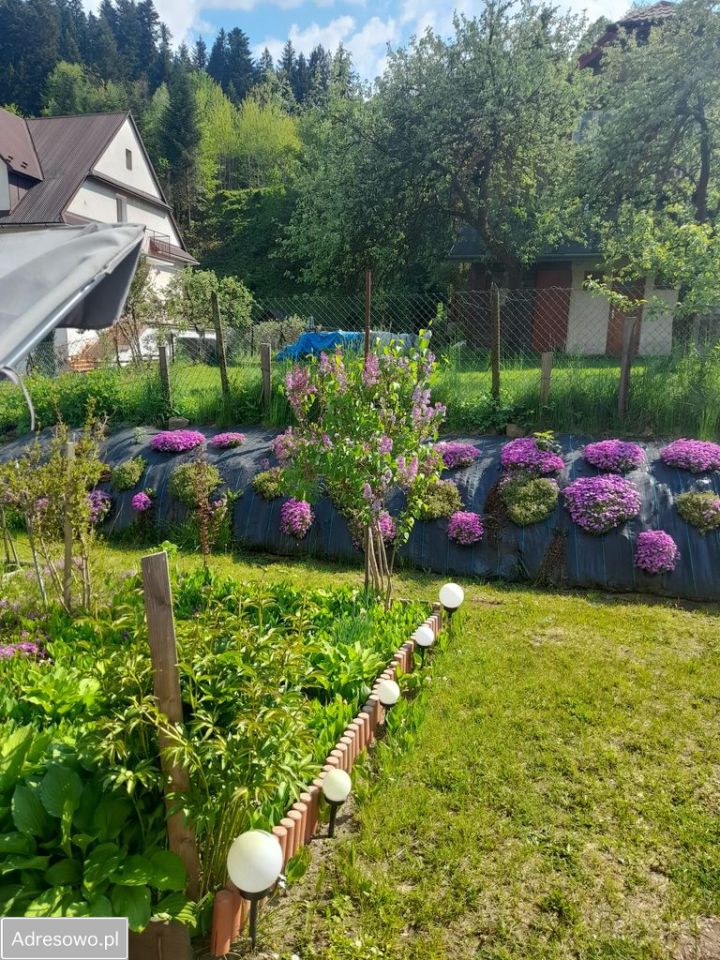 dom wolnostojący, 4 pokoje Muszyna, ul. Grunwaldzka. Zdjęcie 2