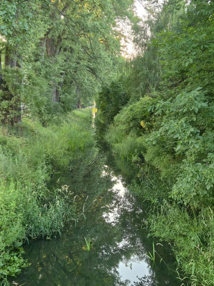 Mieszkanie 2-pokojowe Warszawa Targówek, ul. Zielone Zacisze. Zdjęcie 9