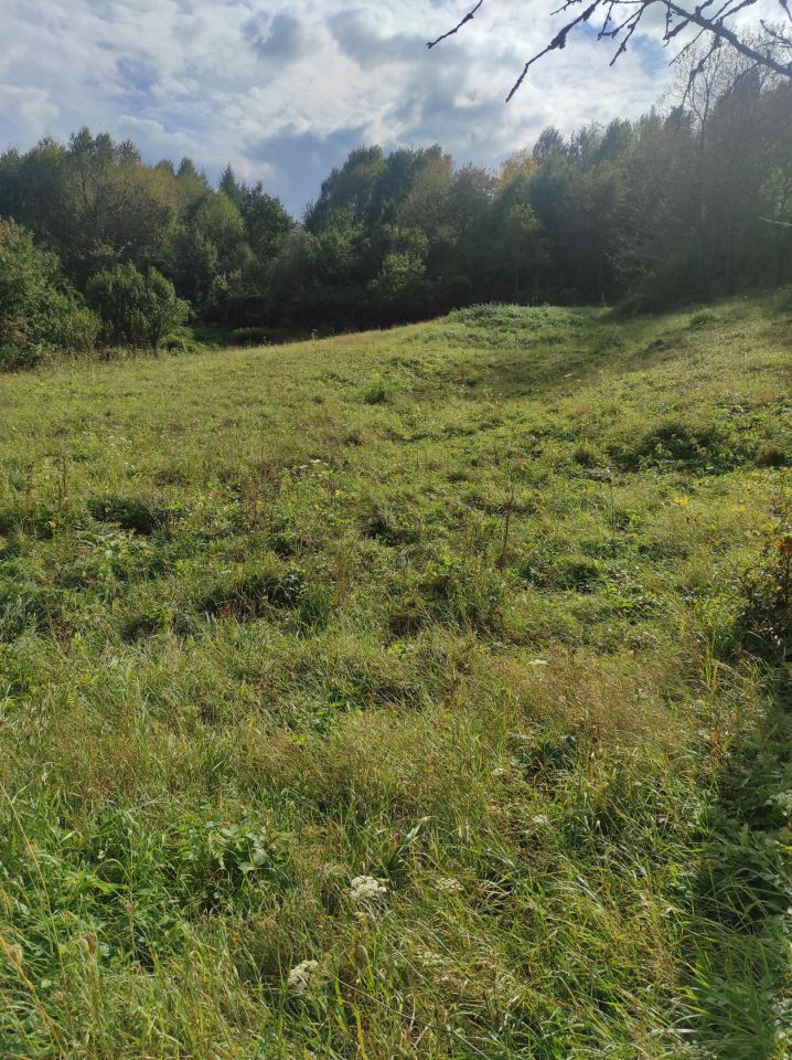 Działka siedliskowa Golcowa. Zdjęcie 5