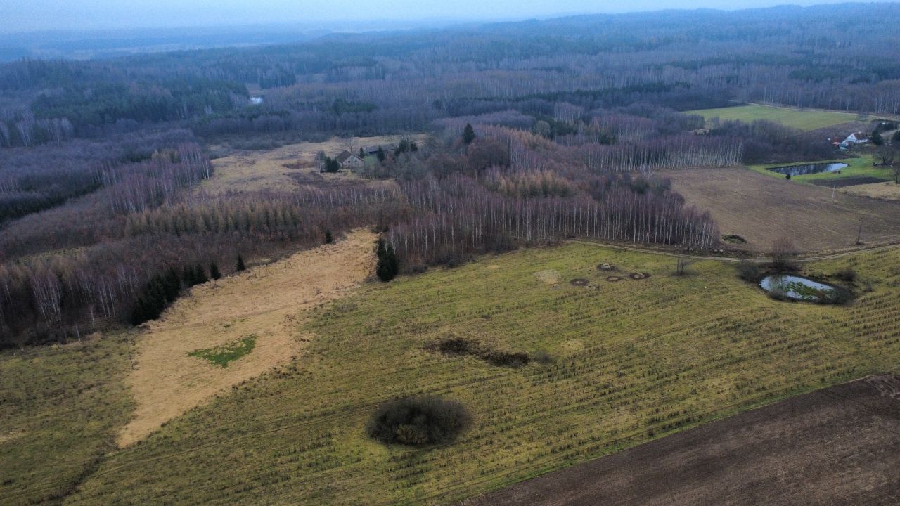 Działka leśna Niedbałki. Zdjęcie 4