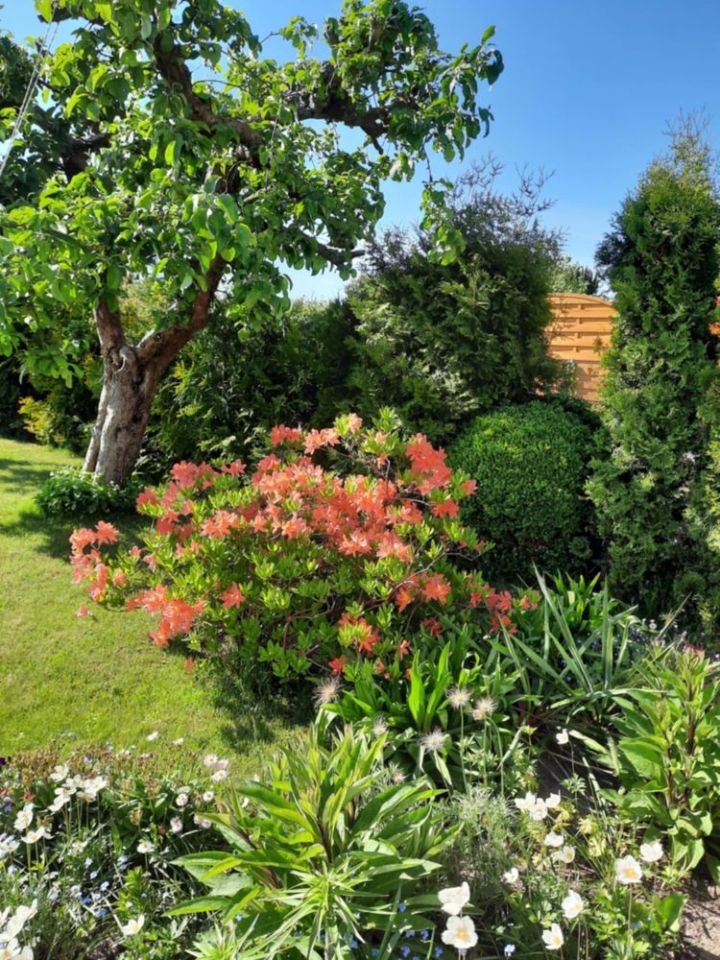 Działka rod Iława. Zdjęcie 4