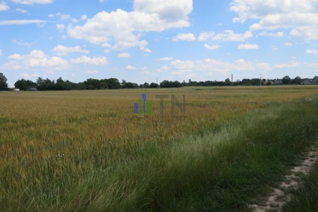 Działka budowlana Dobrzyń. Zdjęcie 1