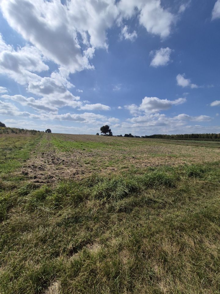 Działka rolno-budowlana Trębowiec-Krupów. Zdjęcie 3