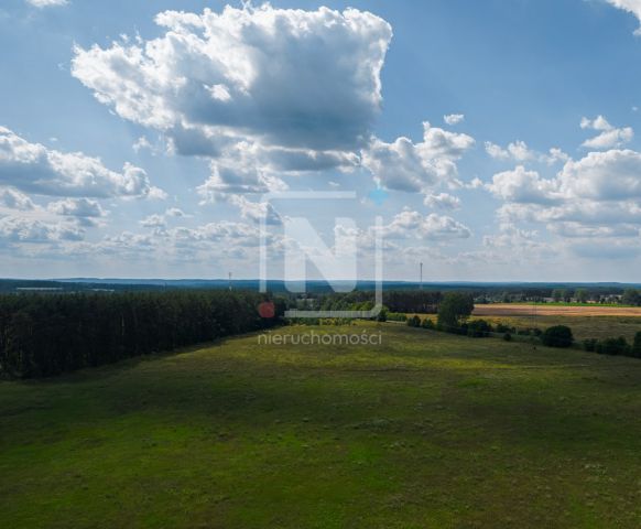 Działka budowlana Jarnatów. Zdjęcie 12