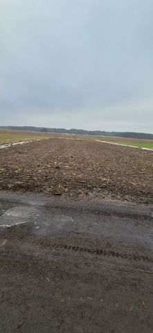 Działka budowlana Dąbie. Zdjęcie 1