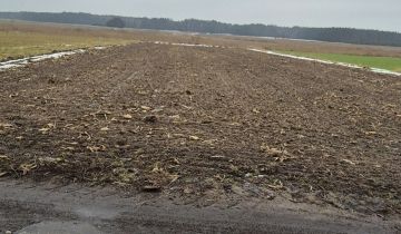 Działka budowlana Dąbie