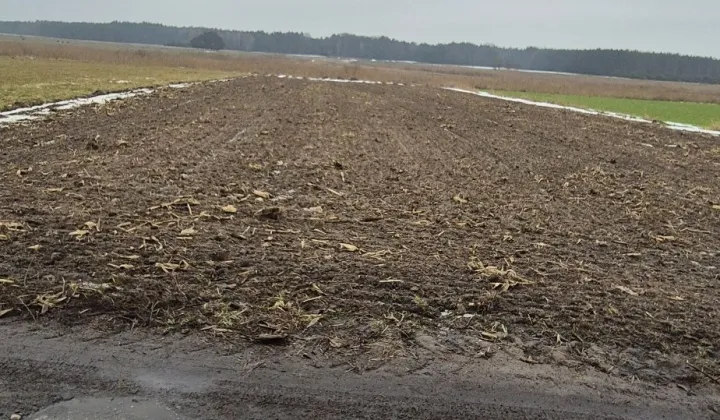 Działka budowlana Dąbie