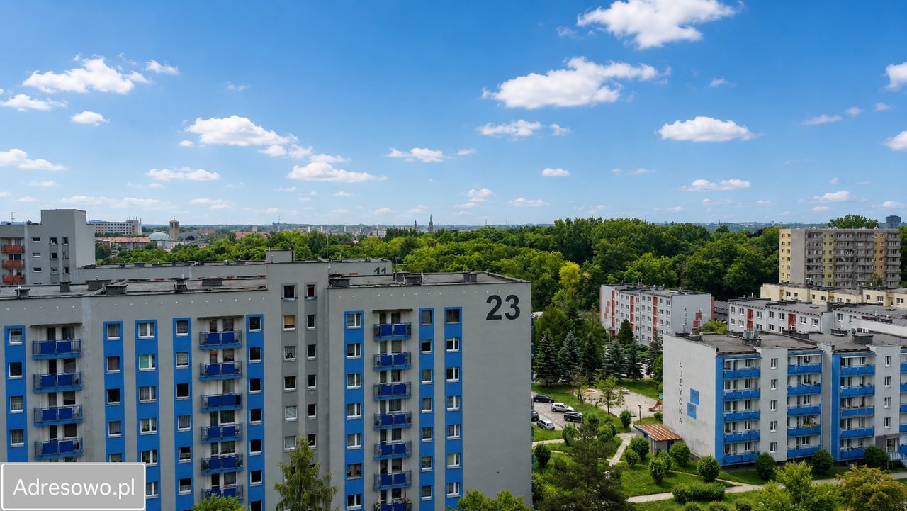 Mieszkanie 1-pokojowe Bytom Śródmieście, ul. Olimpijska. Zdjęcie 11