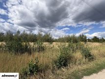 Działka budowlana Krapkowice, ul. Bukowa. Zdjęcie 4