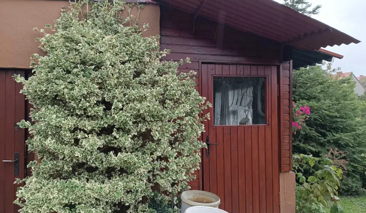 Działka rod Gliwice Sośnica