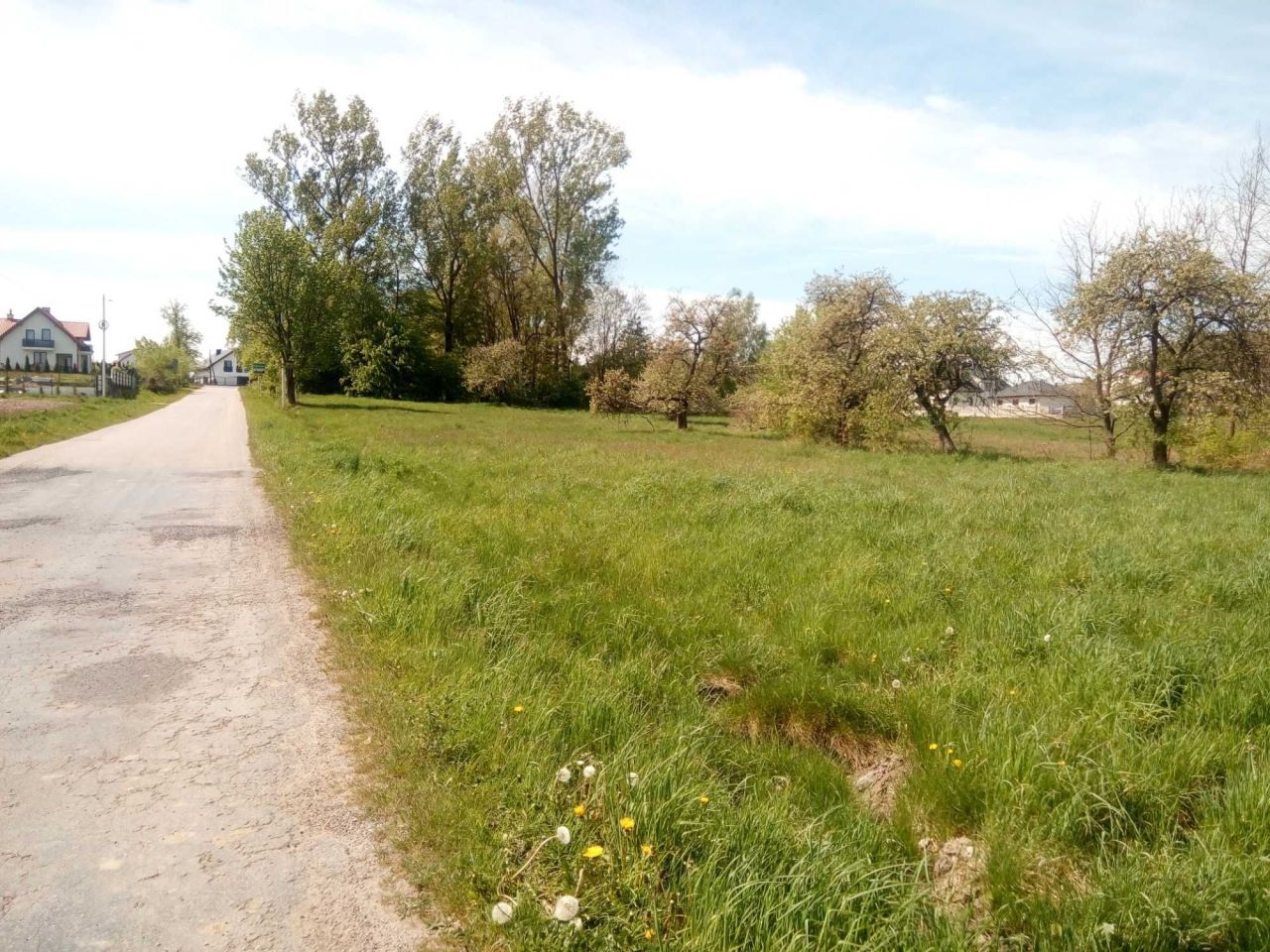 Działka budowlana Pogroszyn. Zdjęcie 2