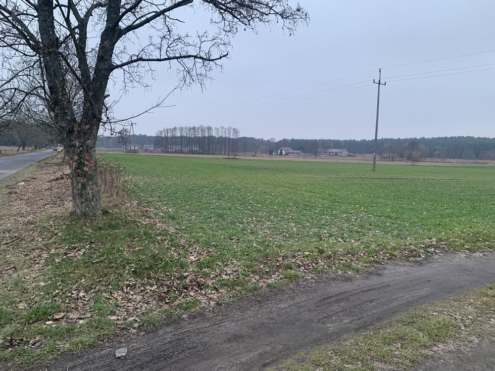 Działka rolno-budowlana Leontynów. Zdjęcie 4