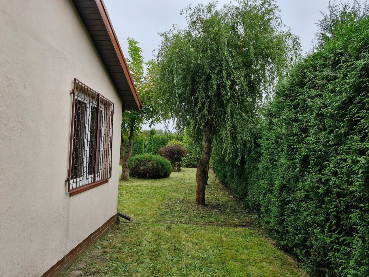 Działka rod Pawlikowice. Zdjęcie 6