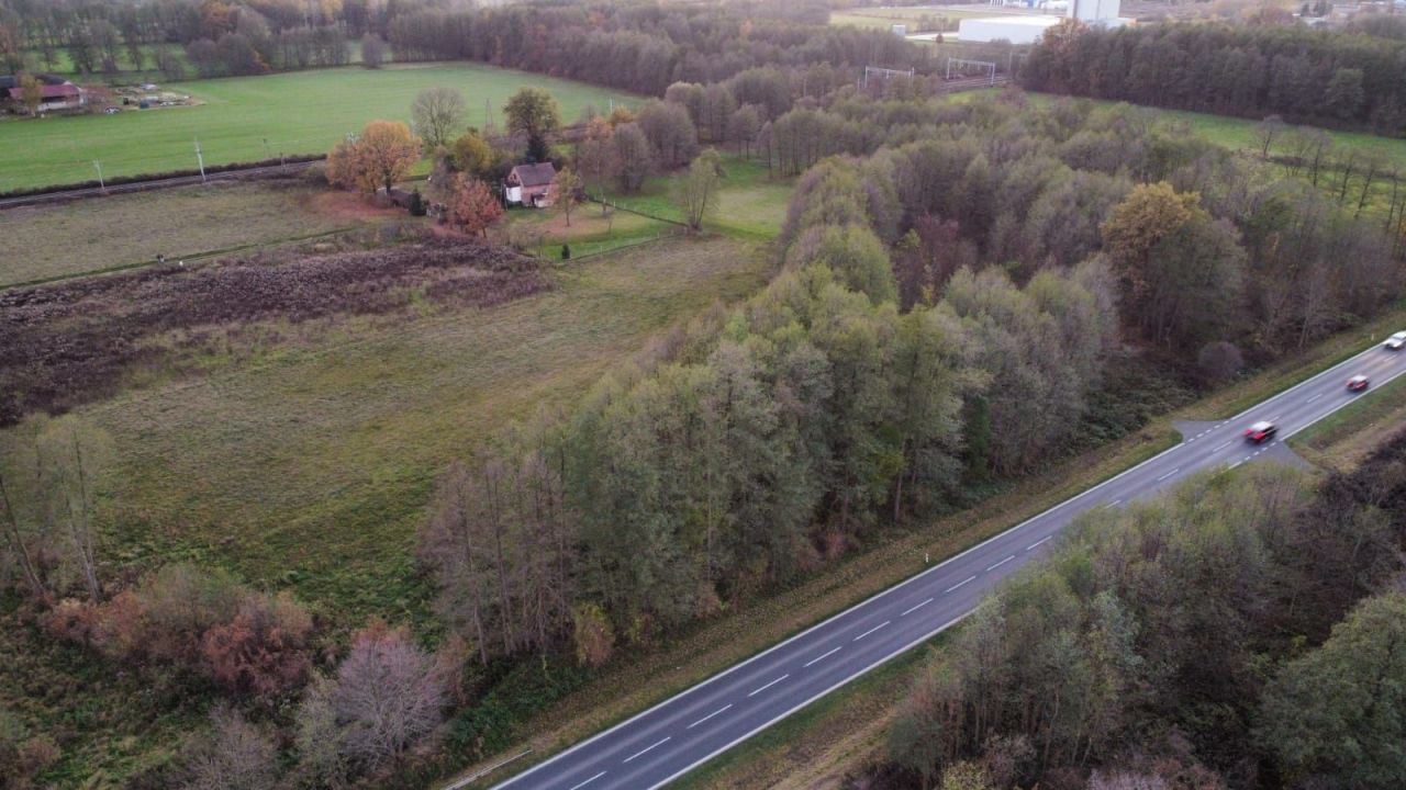 Działka inwestycyjna Paproć. Zdjęcie 4