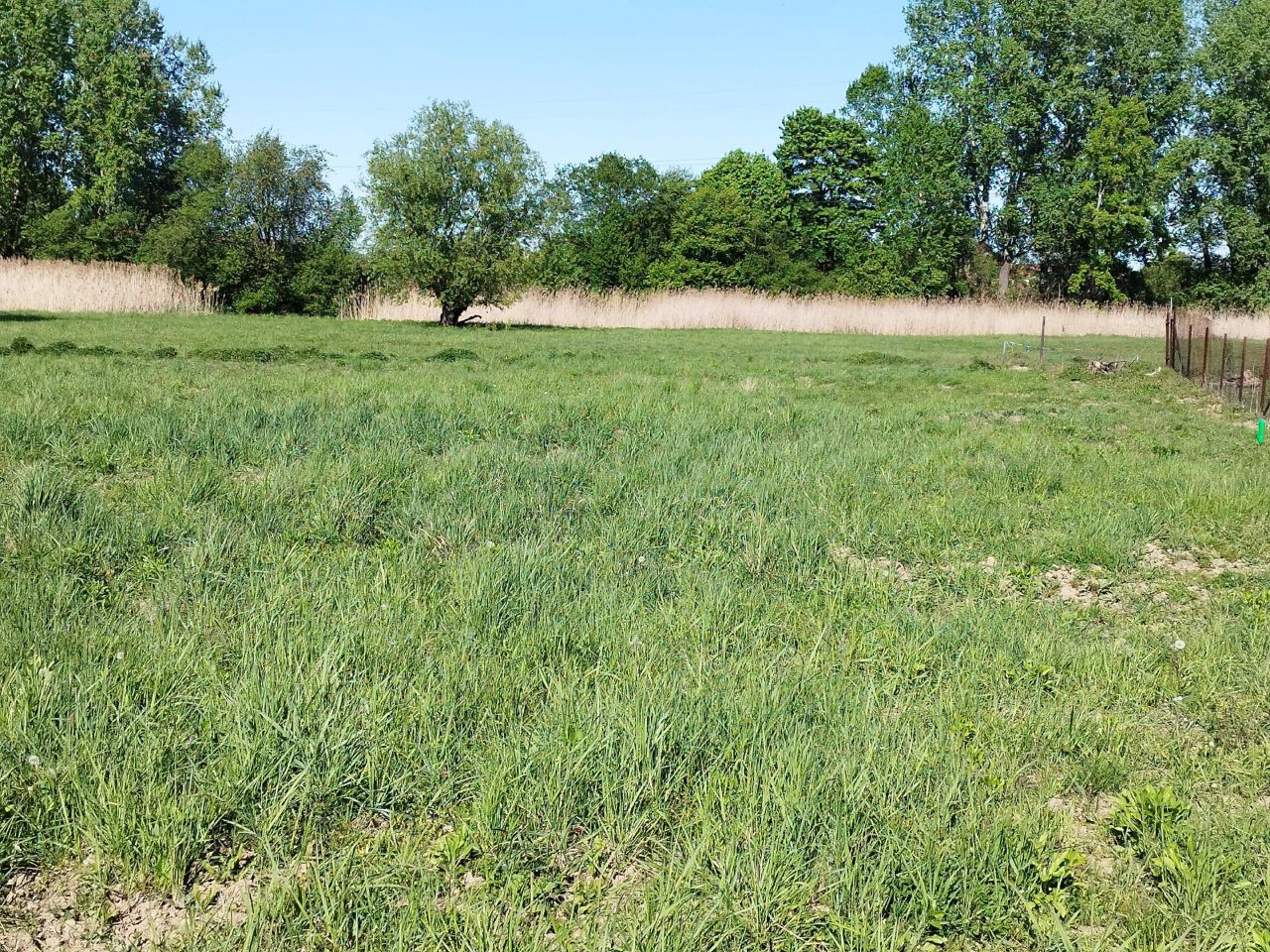 Działka budowlana Warszawa Wilanów, ul. Ruczaj. Zdjęcie 7