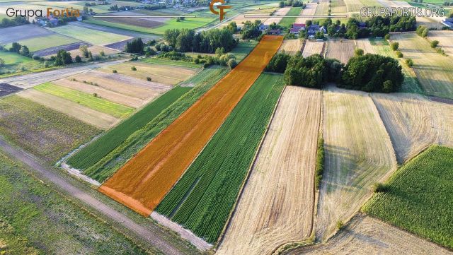 Działka siedliskowa Skalbmierz. Zdjęcie 5