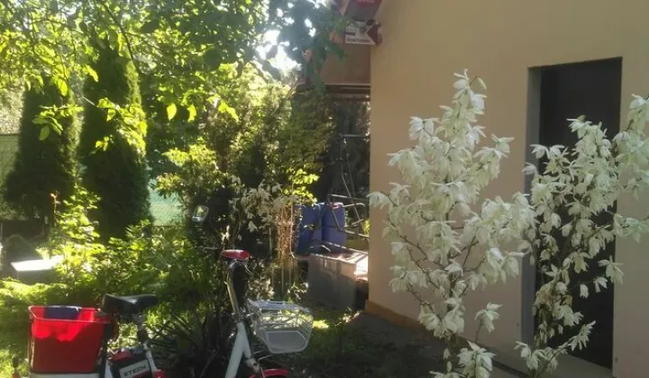 Działka rod Kraków Podgórze, ul. Saska