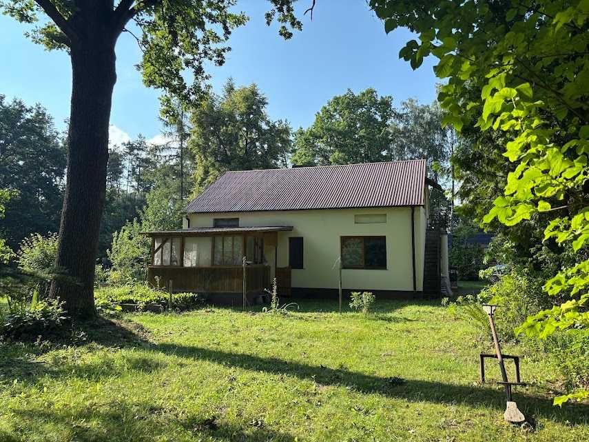 Działka siedliskowa Płosków-Kolonia. Zdjęcie 4