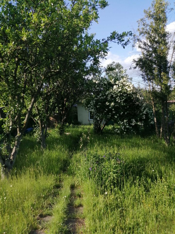 Działka rekreacyjna Poznań Grunwald, ul. Hetmańska