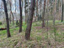 Działka budowlana Sokolniki-Las. Zdjęcie 1