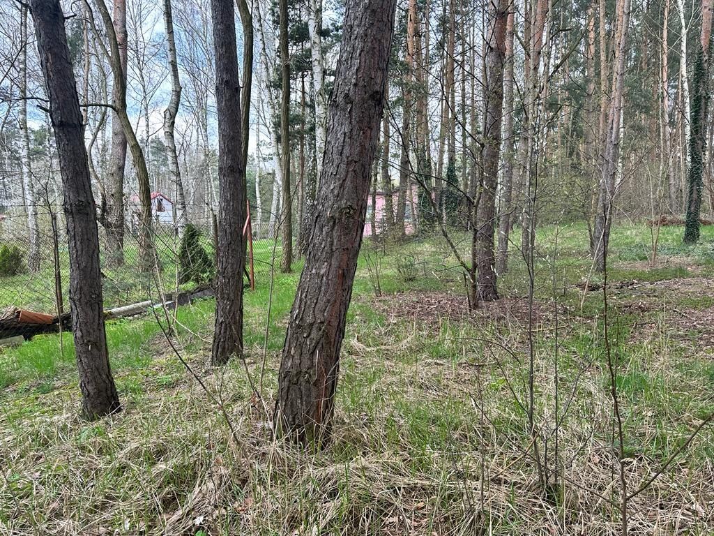 Działka budowlana Sokolniki-Las. Zdjęcie 2