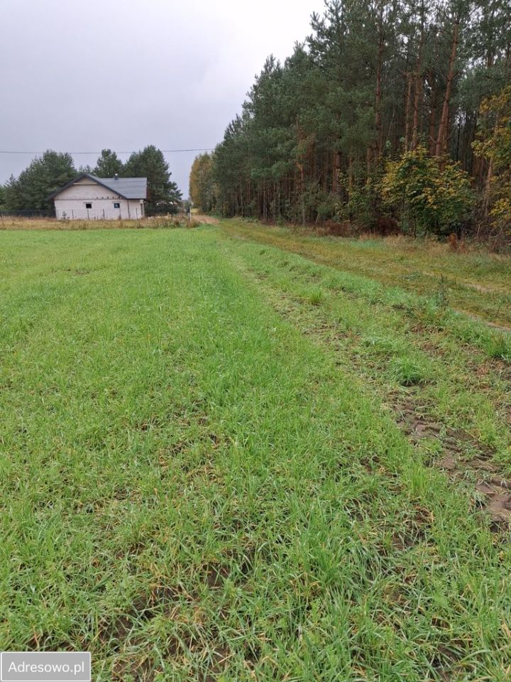 Działka budowlana Muszaki. Zdjęcie 3