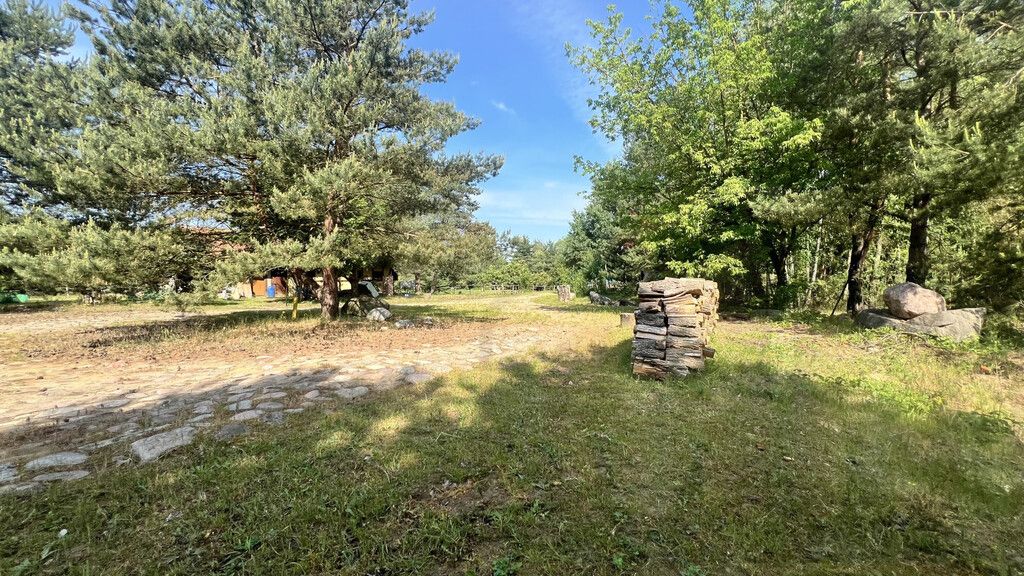 Działka rekreacyjna Osieczna. Zdjęcie 12