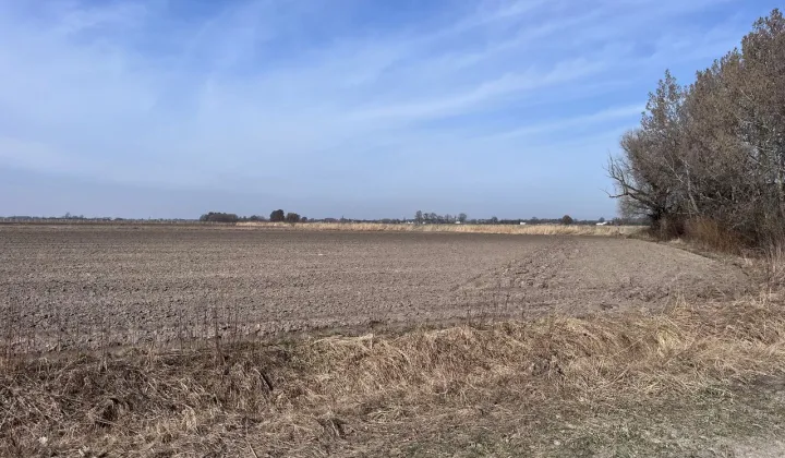 Działka inwestycyjna Wojnowice