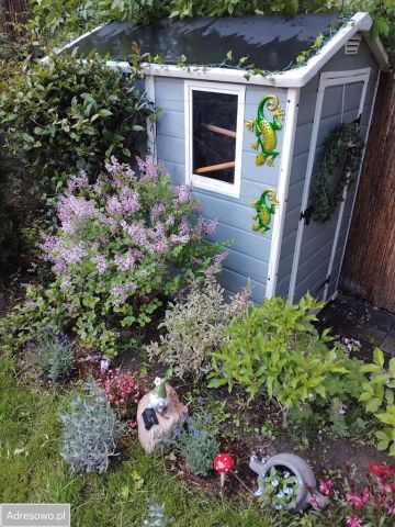 Mieszkanie 2-pokojowe Milanówek, ul. Warszawska. Zdjęcie 6