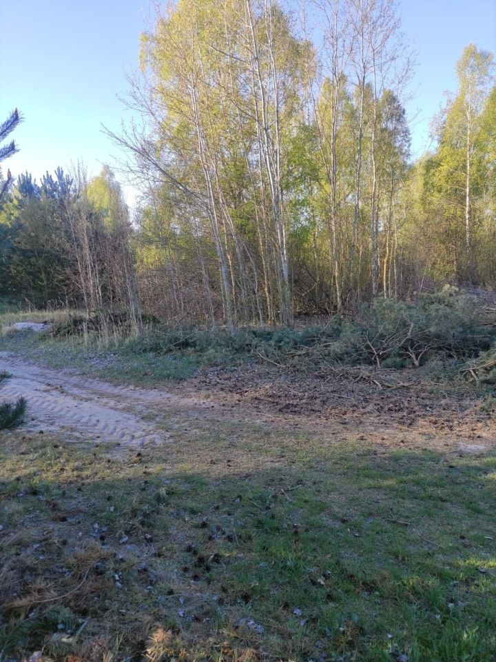 Działka rolno-budowlana Żagliny. Zdjęcie 4