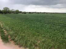 Działka inna Szymonka. Zdjęcie 2