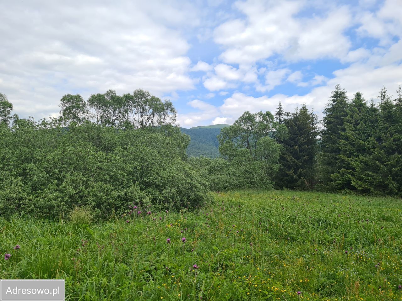 Działka rolna Smerek. Zdjęcie 4