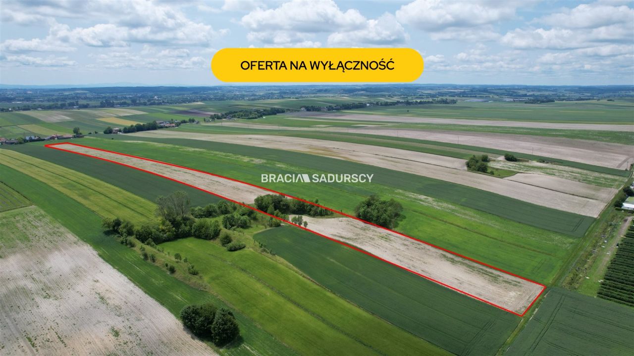 Działka rolna Prandocin-Iły. Zdjęcie 1