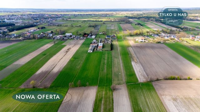 Lokal Polichno. Zdjęcie 5