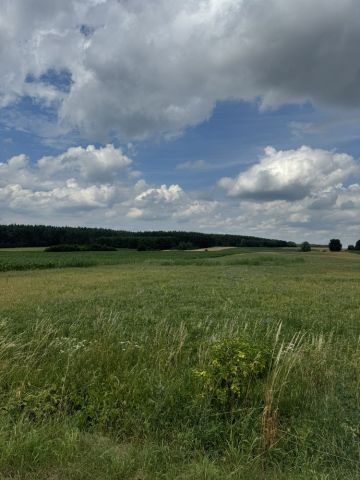 Działka rolno-budowlana Kadłubia. Zdjęcie 1